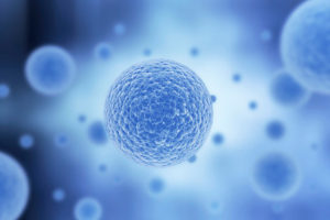 RegenCore Stem Cell